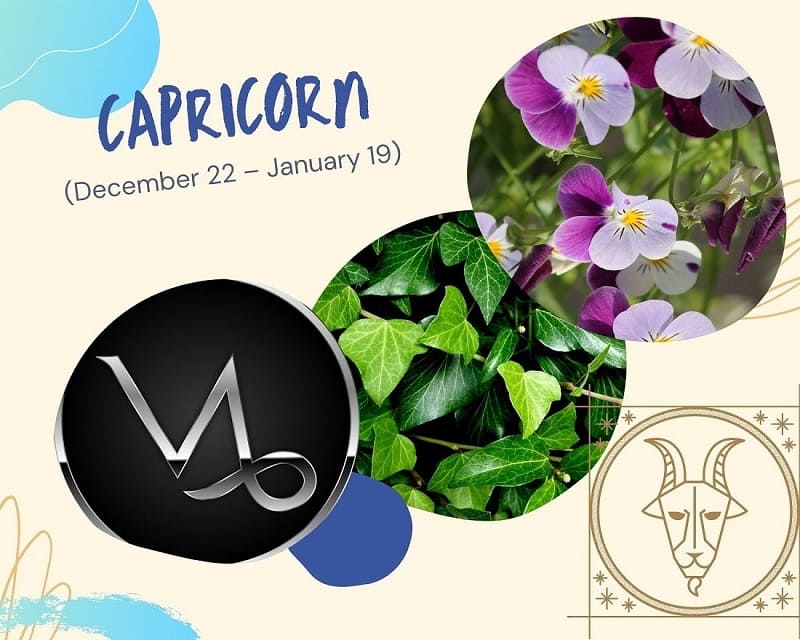 Zodiac Flowers Part 2